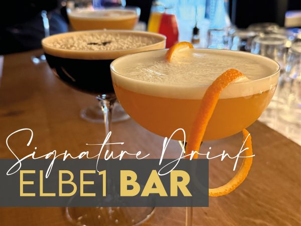 ELBE1 BAR